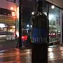 ラディコン ヤーコット
