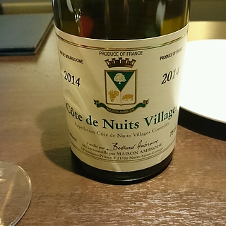 Bertrand Ambroise Côte de Nuits Villages Blanc