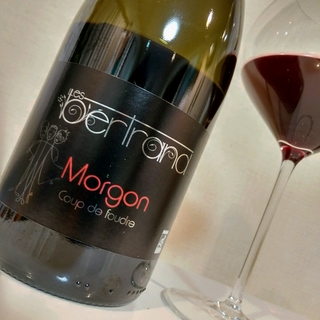 Les Bertrand Morgon Coup de foudre Vieilles Vignes