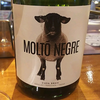 Moltó Negre Cava Brut(モルト ネグレ カバ ブルット)