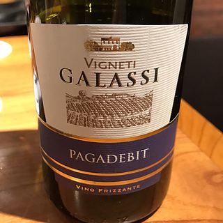 Vigneti Galassi Pagadebit di Romagna