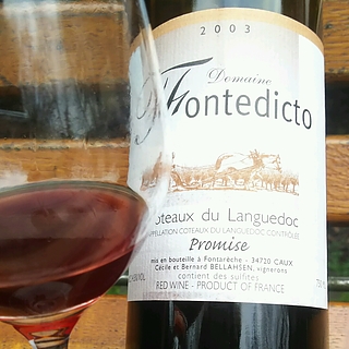 Dom. Fontedicto Promise