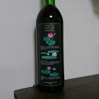 みずの森