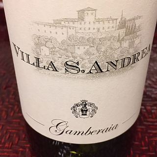 Villa S. Andrea Gamberaia