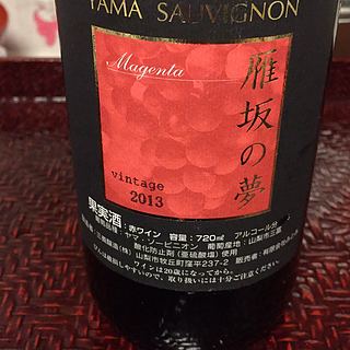 雁坂の夢