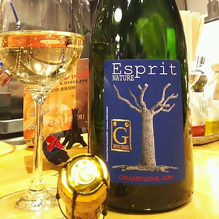Henri Giraud Esprit Nature