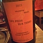 Dom. Morel Les Pieds Sur Terre Chardonnay Champ d'Aubert(2015)