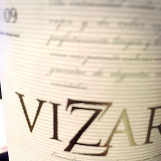 Vizar 12 meses(ヴィザール 12・メセス)