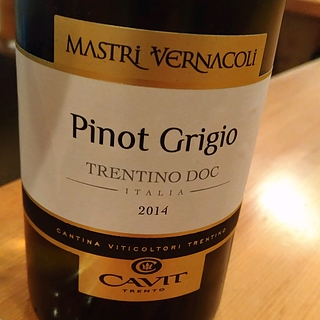 Cavit Mastri Vernacoli Pino Grigio