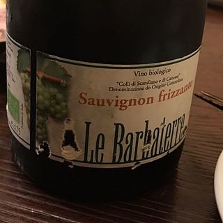 Le Barbaterre Sauvignon Frizzante sui Lieviti