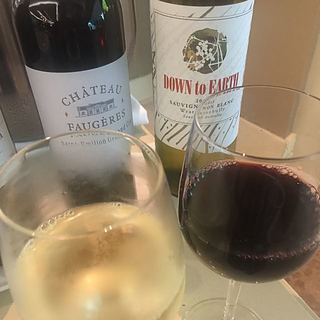 Terre a Terre Down to Earth Sauvignon Blanc(テッレ・ア・テッレ ダウン・トゥー・アース ソーヴィニヨン・ブラン)