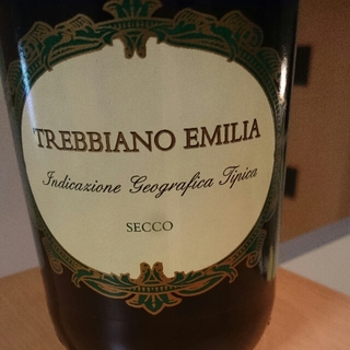 Trebbiano Emilia Frizzante Secco