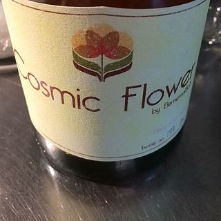 Cosmic Flower by Elemental Bob Roussanne