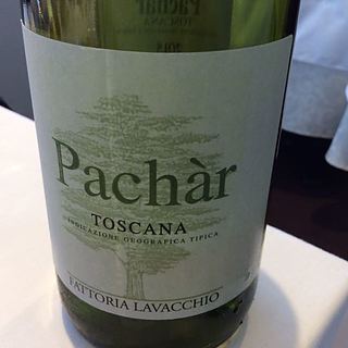 Fattoria Lavacchio Pachar