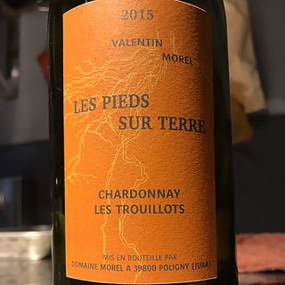 Dom. Morel Les Pieds Sur Terre Chardonnay Les Trouillots