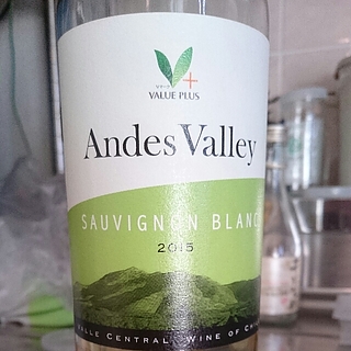 Value Plus Andes Valley Sauvignon Blanc(バリュー・プラス アンデス・ヴァレー ソーヴィニヨン・ブラン)