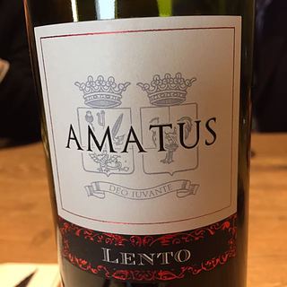 Lento Amatus Rosso