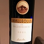 Malleolus de Valderramiro(2005)
