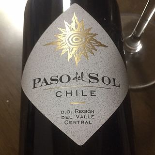 Terra Mater Paso del Sol Cabernet Sauvignon(テラ・マター パッソ・デル・ソル カベルネ・ソーヴィニヨン)
