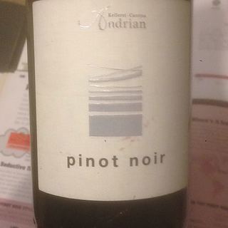 Andrian Pinot Noir