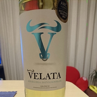 Velata Blanco(ヴェラタ ブランコ)