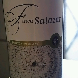 Finca Salazar Sauvignon Blanc