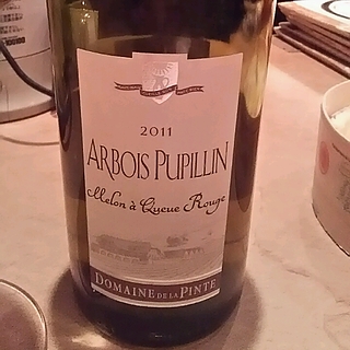 Dom. de la Pinte Arbois Pupillin Melon a Queue Rouge