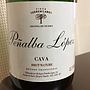 Peñalba López Cava Brut Nature