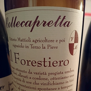 Collecapretta Il Forestiero