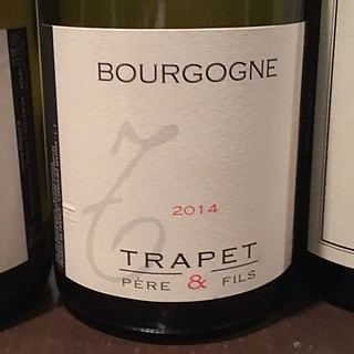 Dom. Trapet Bourgogne Blanc