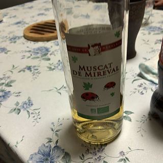 Dom. Cazalis Muscat de Mireval(ドメーヌ・カザリス ミュスカ・ド・ミルヴァル)