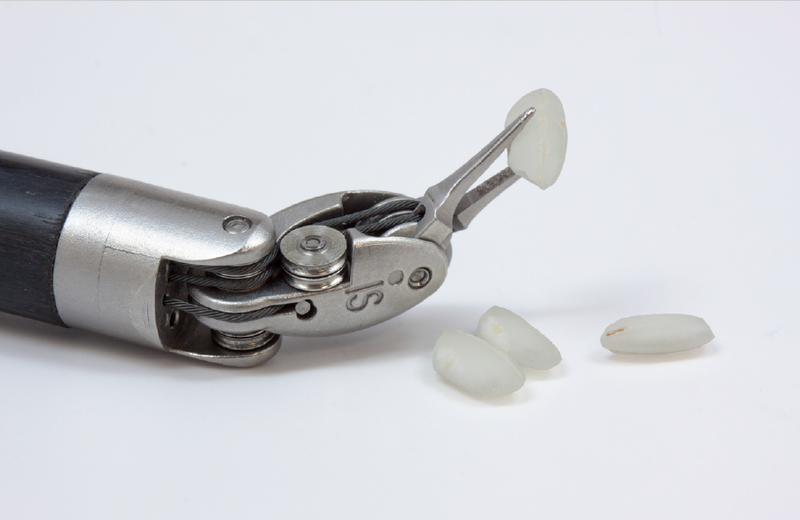 (c)2021 Intuitive Surgical, Inc.