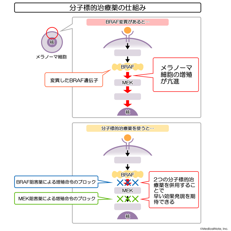 分子標的薬