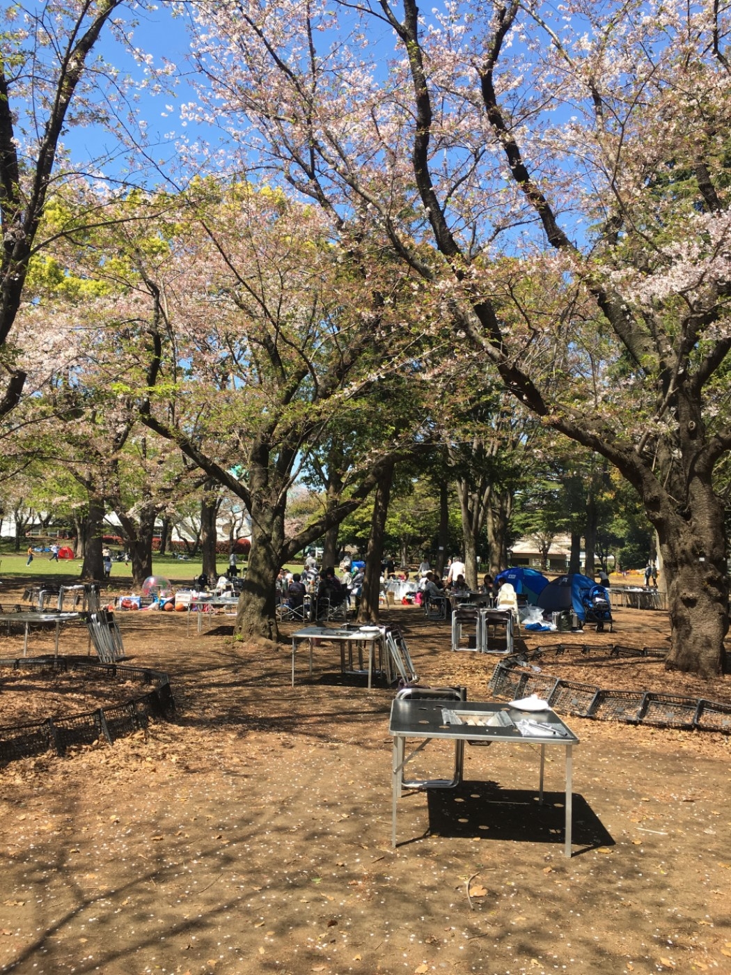 休業中 引地台公園バーベキューサービス デジキュー q場