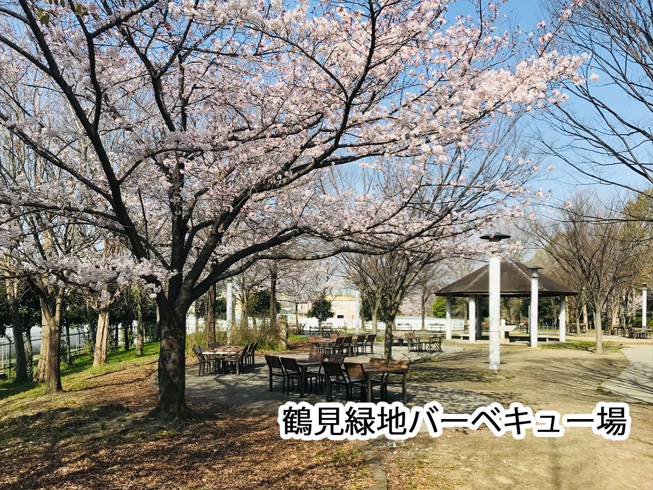 鶴見緑地バーベキュー場 キャンプ場 緑のせせらぎ東側バーベキュー広場 デジキュー q場 鶴見緑地バーベキュー場 キャンプ場 緑のせせらぎ東側バーベキュー広場 デジキュー q場