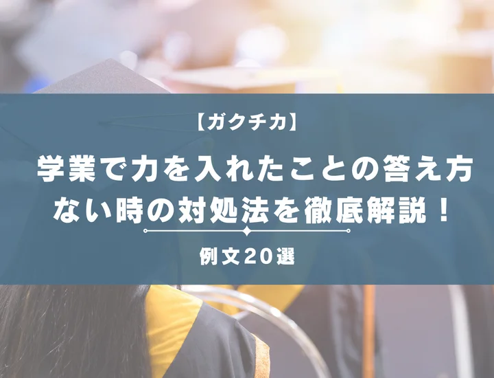 学業で力を入れたこと