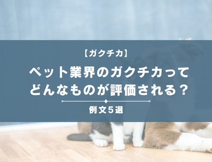 【例文5選】ペット業界のガクチカってどんなものが評価される？書き方からポイントまで徹底解説