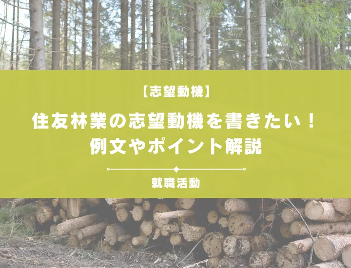 【例文5選】住友林業の志望動機を書きたい！例文や求める人物像も紹介