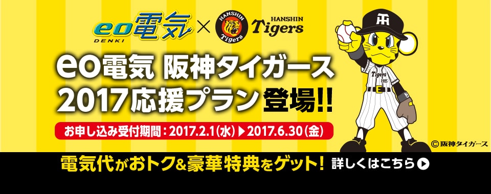 阪神タイガースファン専用の電気料金プラン 阪神タイガース17応援プラン Eo電気に登場 詳細をチェック タイナビスイッチ
