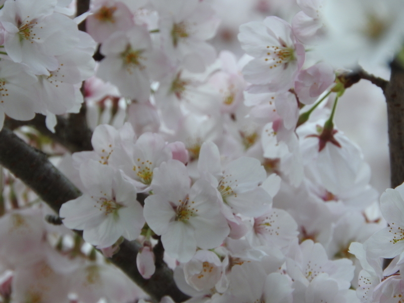 User pf img 9310f76e 510f 493a b13b c8d58b250ee9