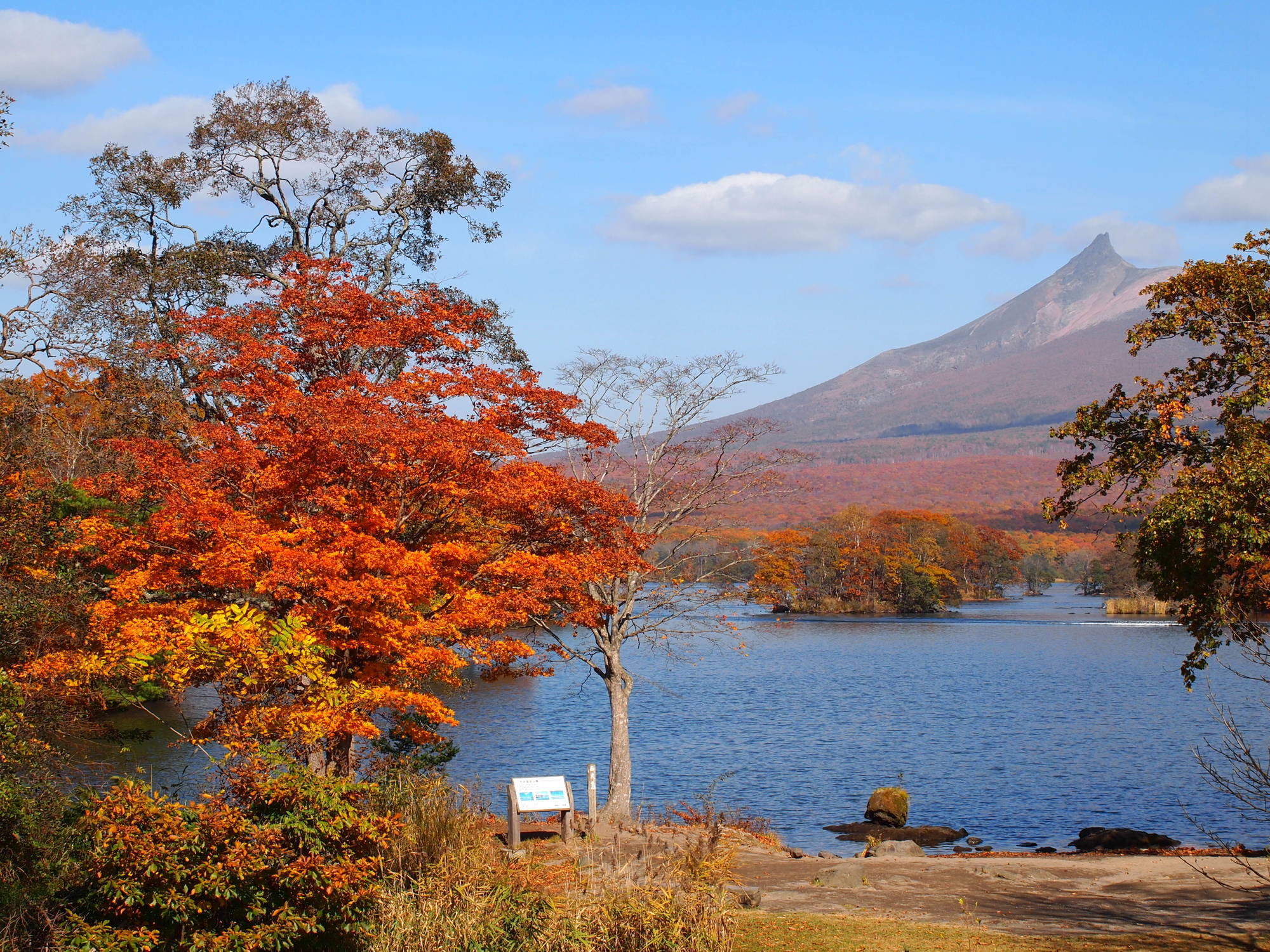 Onuma onuma: 大沼公園 マップ – RZDNZ