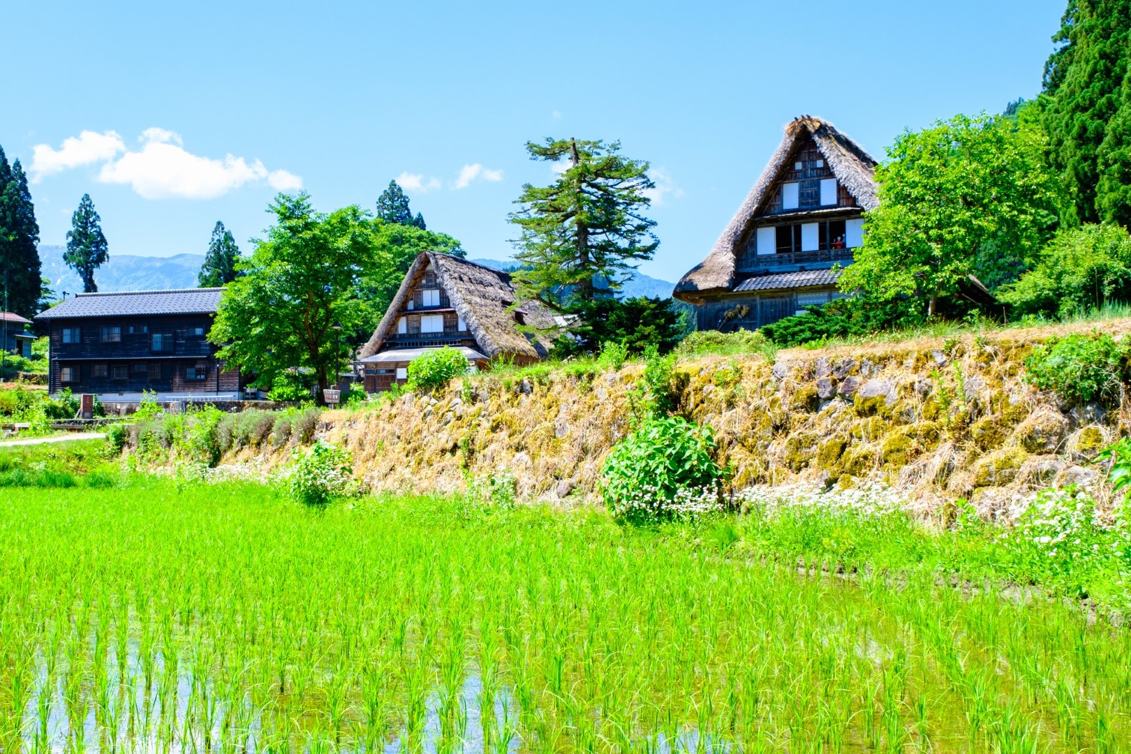 Ainokura Gassho Style Village Central Honshu Chubu L Drivejapan