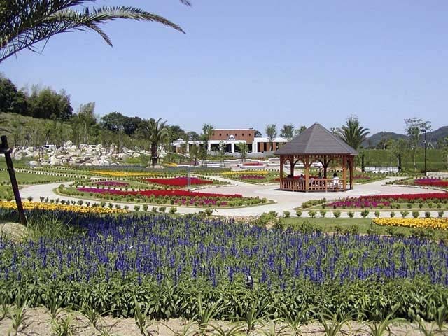 動物園水族館18 中国四国 Dk Select 進化する暮らし