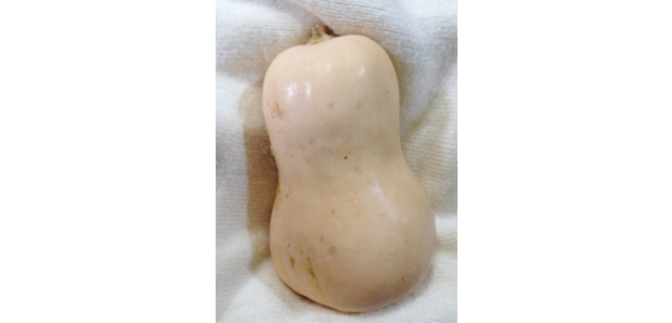 【Dr.野菜ソムリエのコラム】vol.12:甘いほくほくのカボチャでからだを守ろう