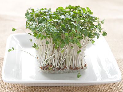 【Dr.野菜ソムリエのコラム】vol.4: がん予防の強力な味方 ~ブロッコリーとその新芽~