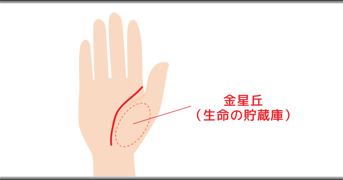 生命線の見方 貯蔵庫