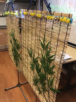 有料老人ホームはhitowaケアサービスのイリーゼへ 公式 イリーゼ日記