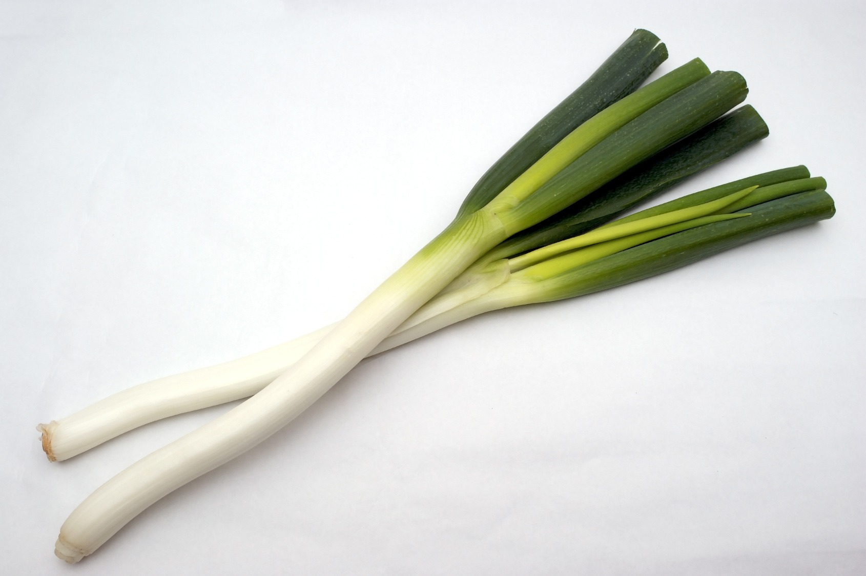 根深ねぎ」の栄養素や歴史【管理栄養士監修】12月の旬の野菜の栄養学
