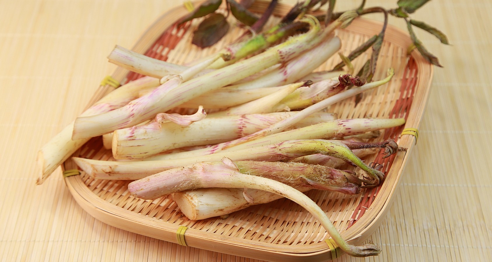 「ウド」の栄養素や歴史【管理栄養士監修】3月の旬の野菜の栄養学 - コラム | Eatreat