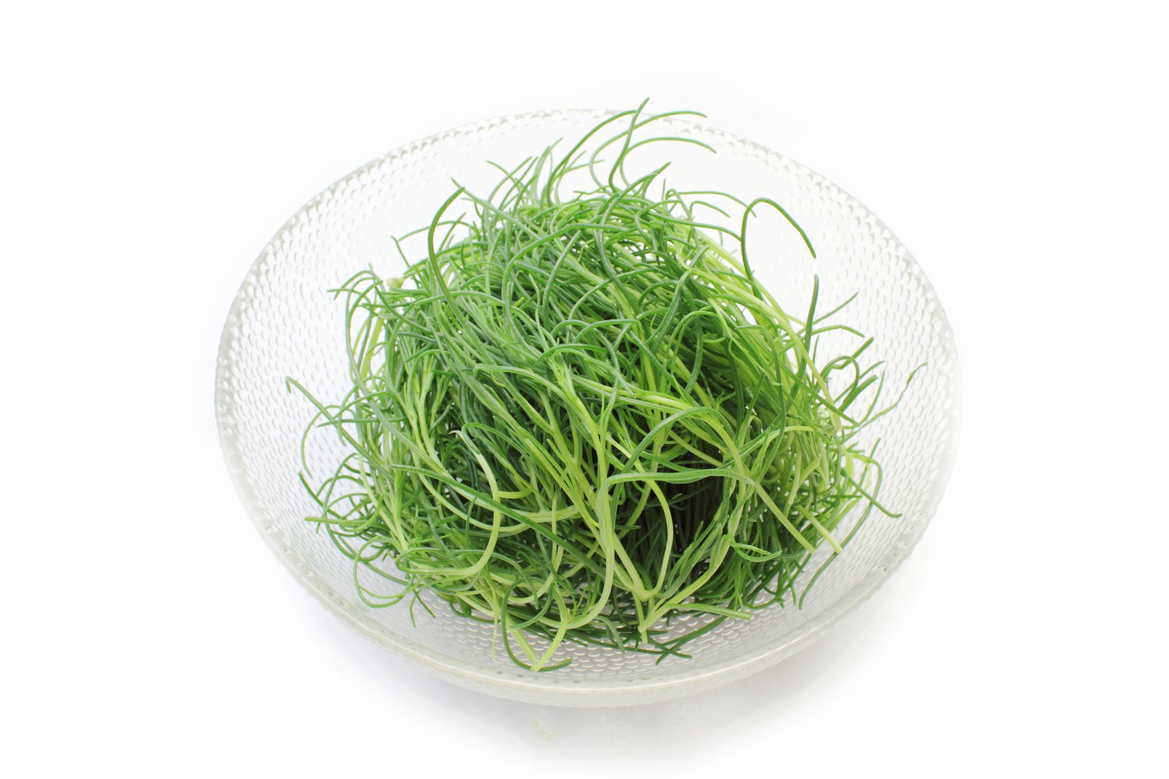 おかひじき の栄養素や歴史 管理栄養士監修 4月の旬の野菜の栄養学 コラム Eatreat おかひじき の栄養素や歴史 管理栄養士監修 4月の旬の野菜の栄養学 コラム Eatreat